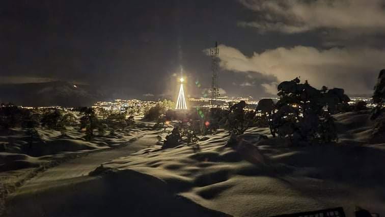 Vinterkveld i Spjelkavika med lysende juletre og byen i bakgrunnen